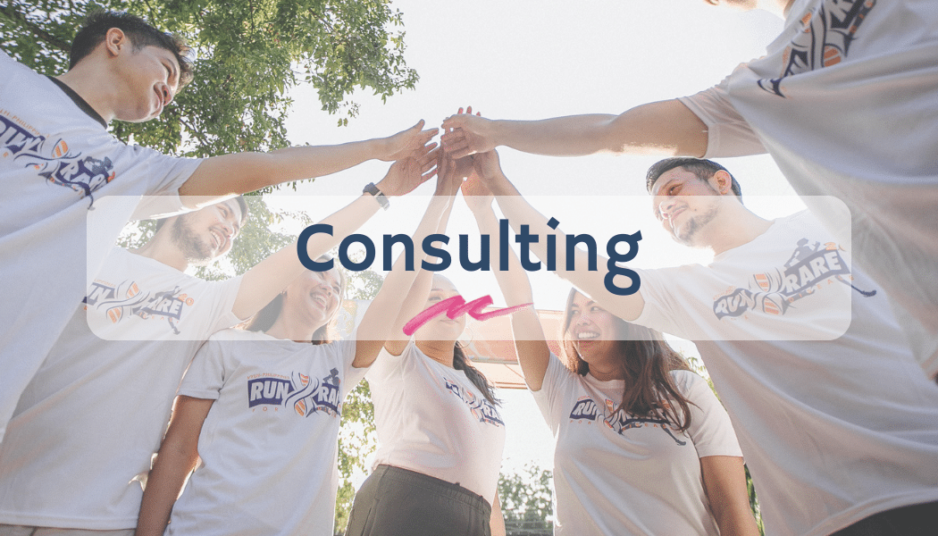 Fundraising Consulting